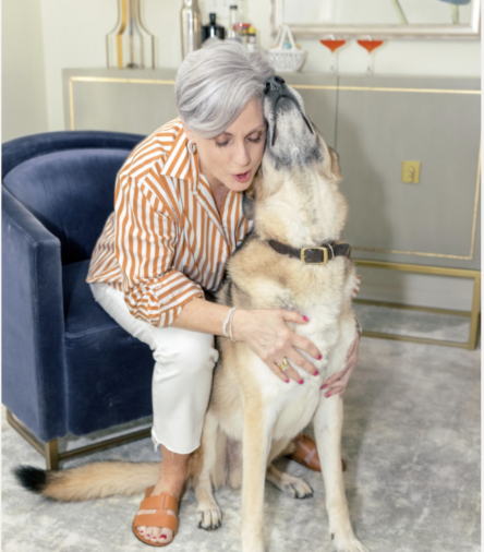 7 Spring Essentials Every Pet Parent Needs – Your Pet Will Love You Even More